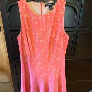 American Living dress